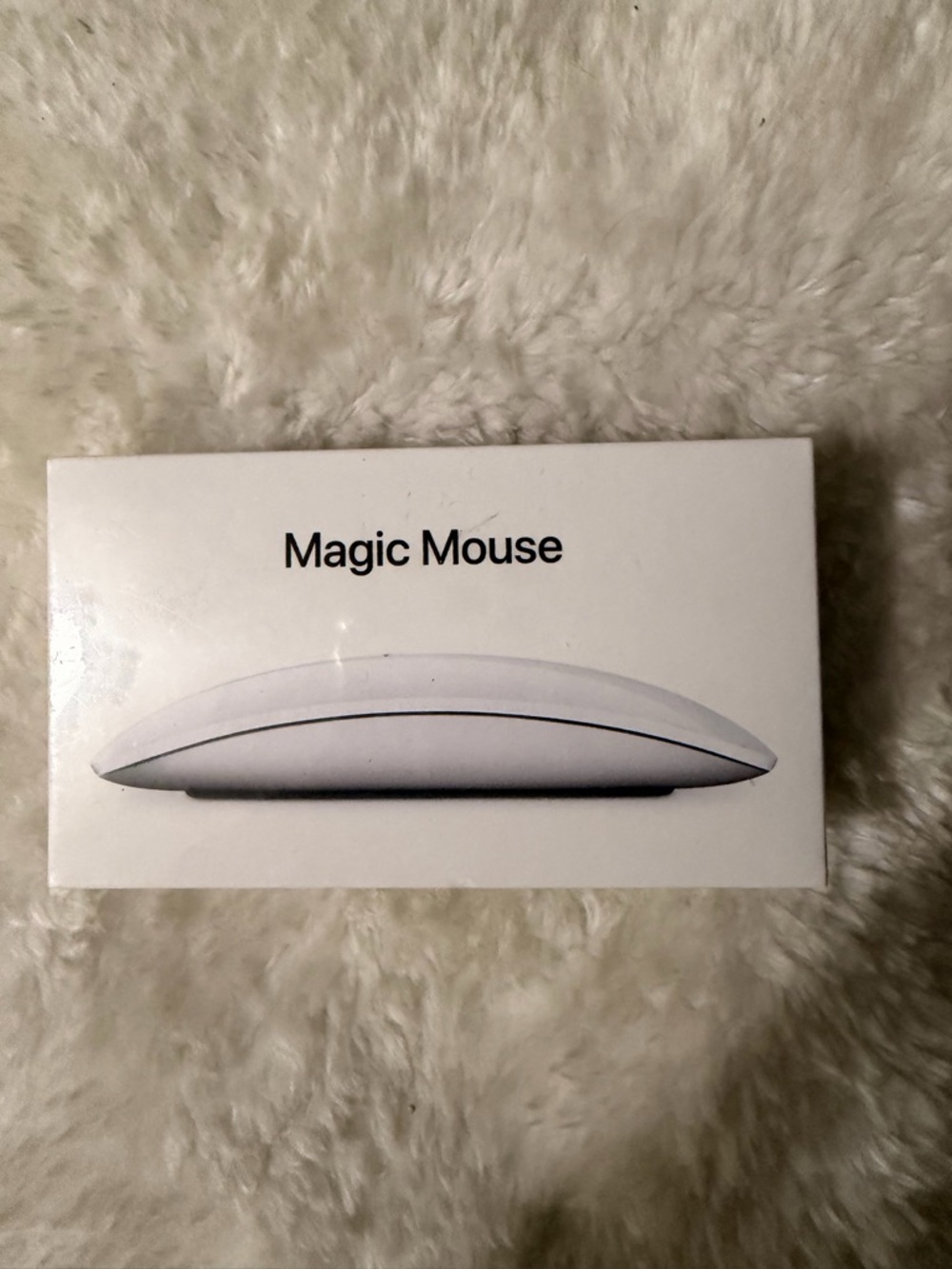 Apple Magic Mouse in White and Silver